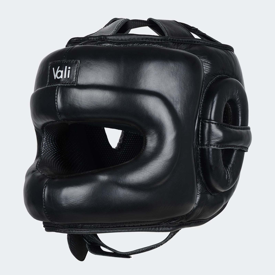 face gear Lancer Face Saver Headgear For Training & Sparring