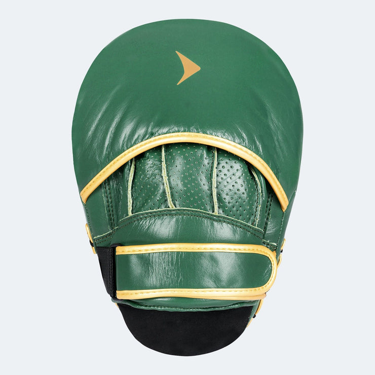 Lancer Leather Focus Mitts For Boxing Training Back Green | Vali