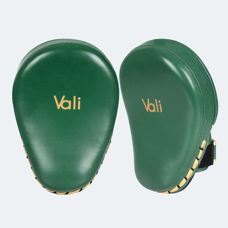 Lancer Leather Focus Mitts For Boxing Training Cover Green | Vali