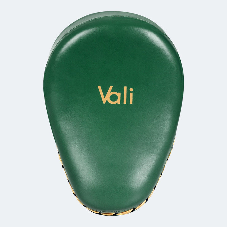 Lancer Leather Focus Mitts For Boxing Training Front Green | Vali