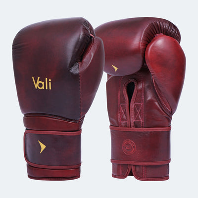 Lancer Leather Pro Boxing Gloves For Training Red Cover | Vali#color_red