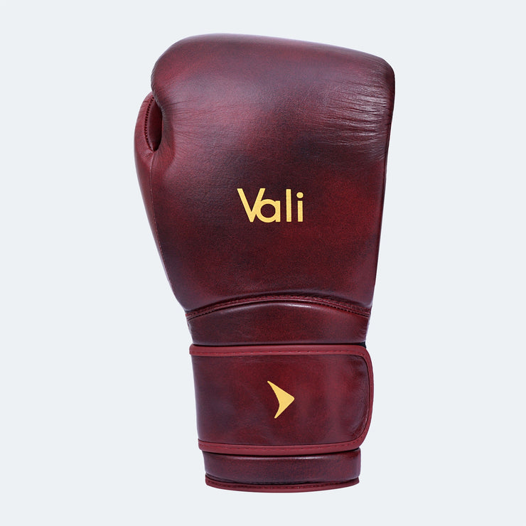 Lancer Leather Pro Boxing Gloves For Training Red Front | Vali