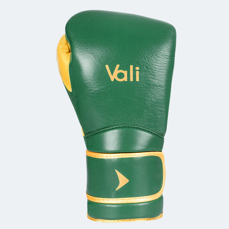 Lancer Leather Pro Boxing Gloves For Training Green Front | Vali