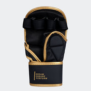 Onyx MMA sparring gloves | Vali#color_gold