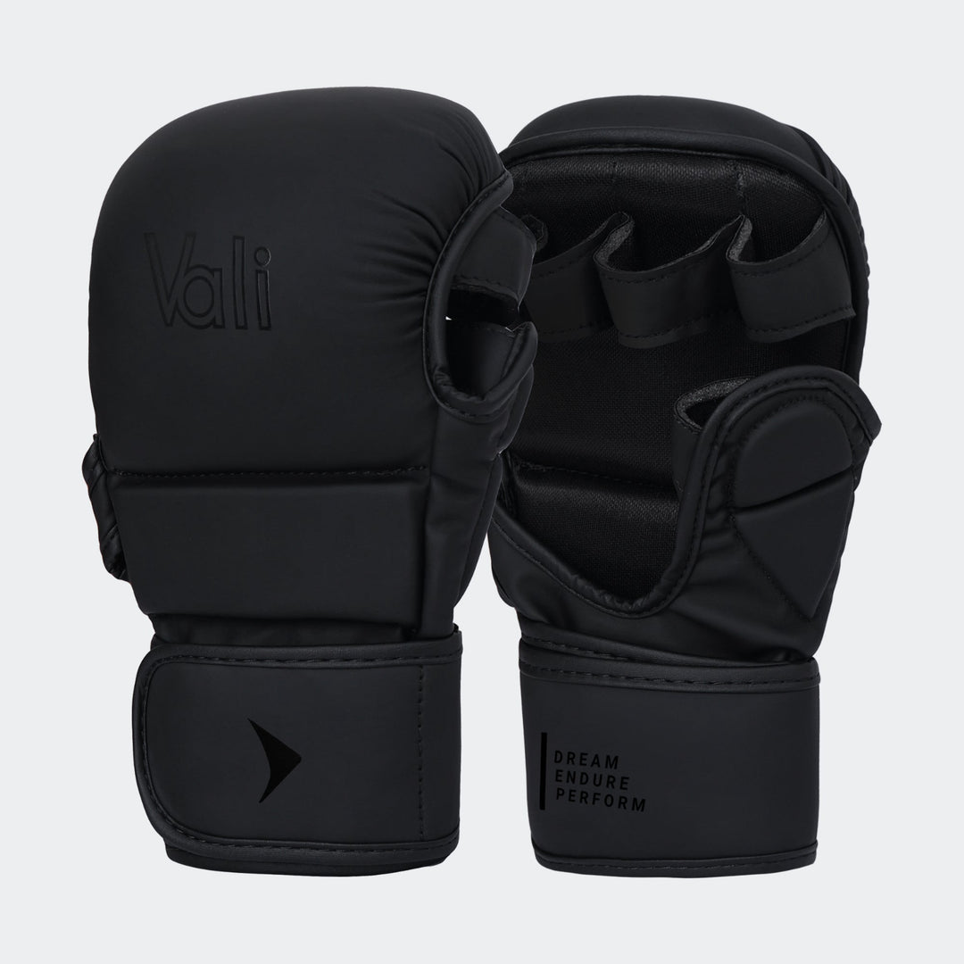 Onyx-Hybrid-MMA-Sparring-