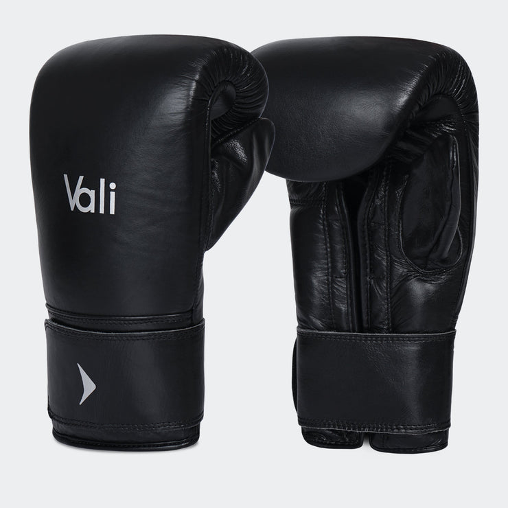 Lancer Bag Gloves for Boxing | Vali