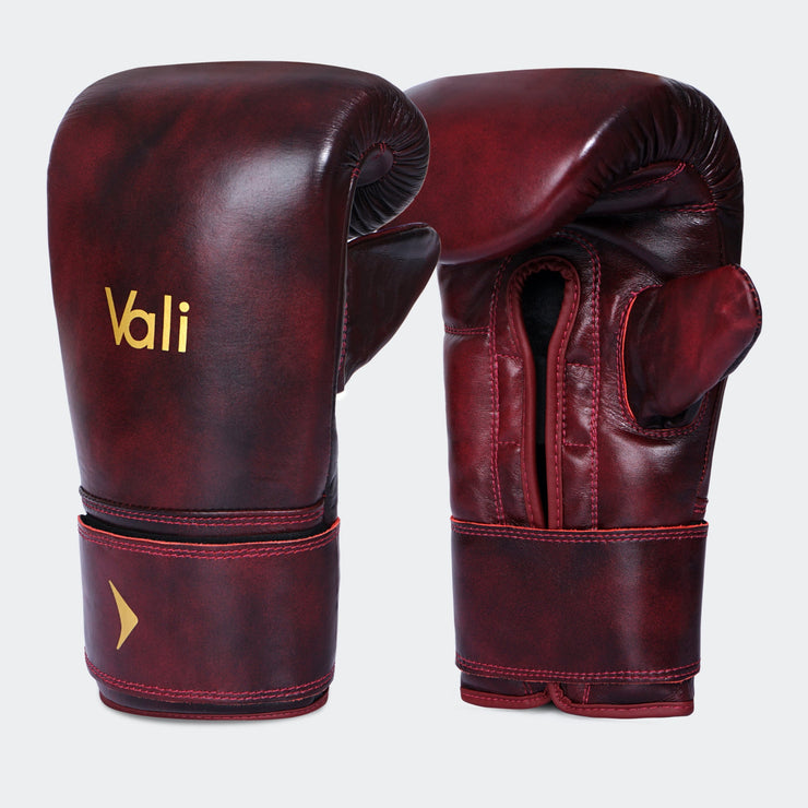 Lancer Bag Gloves for Boxing | Vali