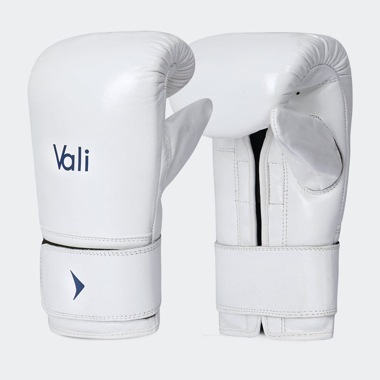 Lancer Bag Gloves for Boxing | Vali