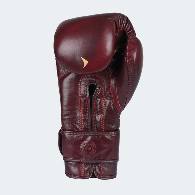 Lancer Leather Pro Boxing Gloves For Training Red Back| Vali