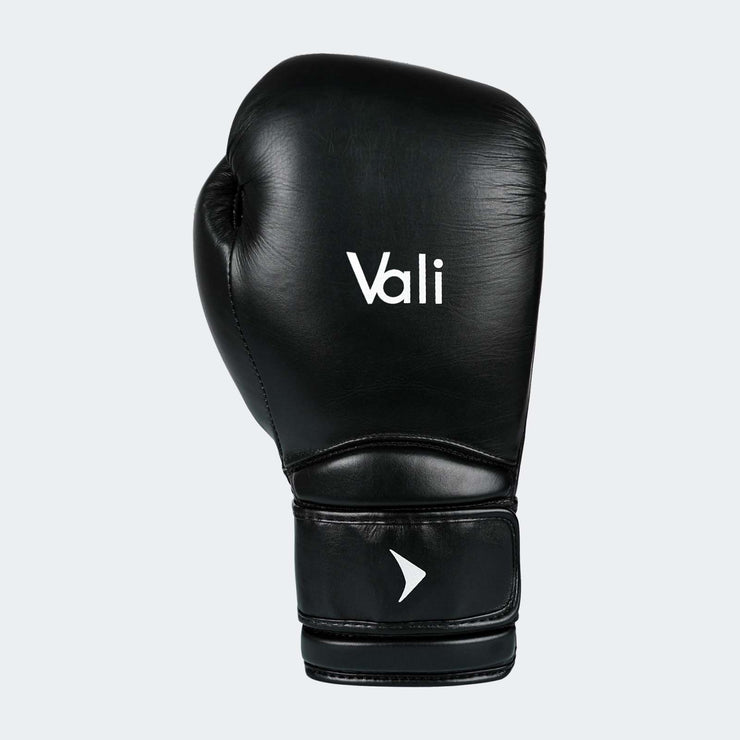 Lancer Leather Pro Boxing Gloves For Training Black Front| Vali