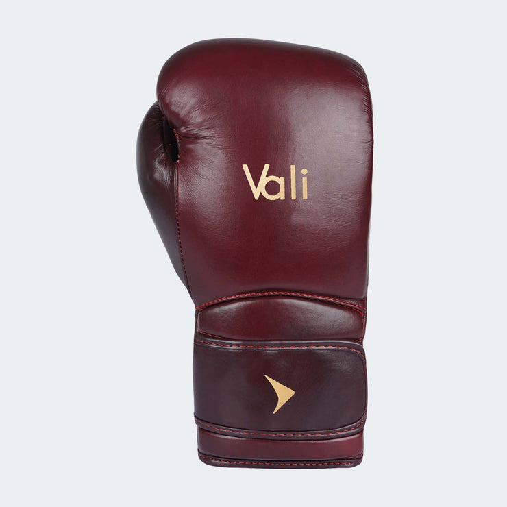 Lancer Leather Pro Boxing Gloves For Training Red Front | Vali