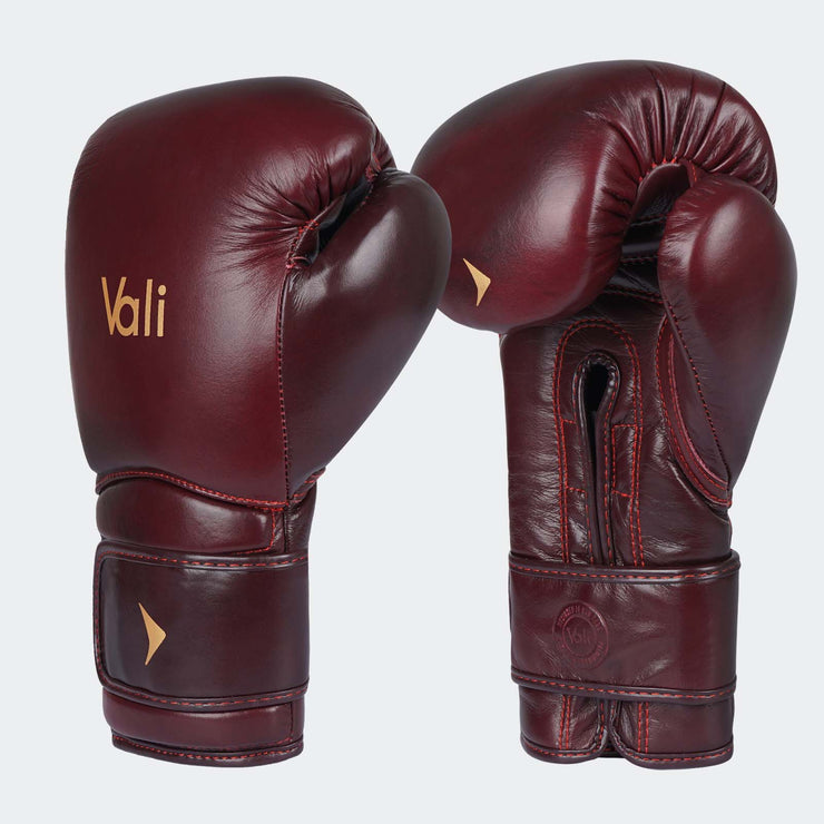 Lancer Leather Pro Boxing Gloves For Training Red Side | Vali