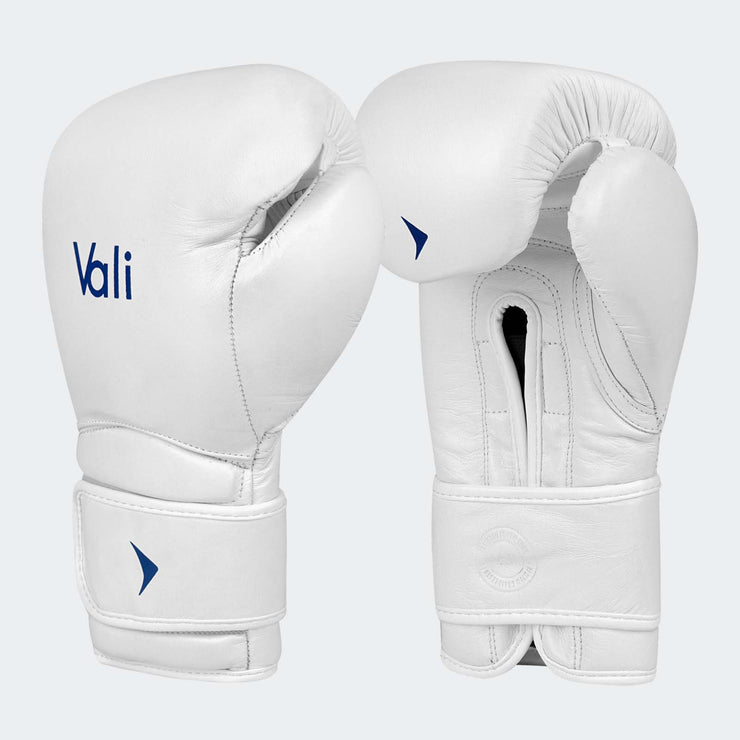 Lancer Leather Pro Boxing Gloves For Training White Side | Vali