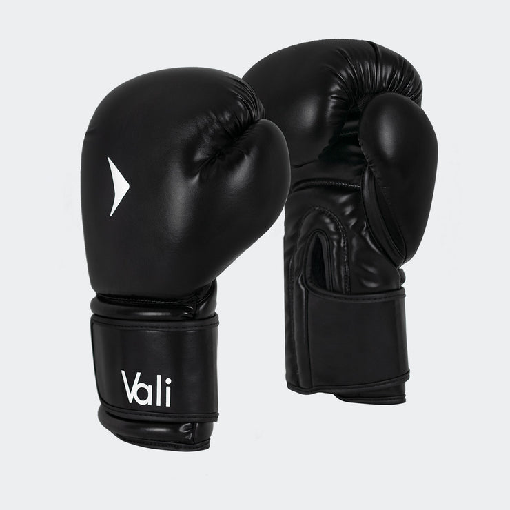 Nista Boxing Gloves for MMA Training Sparring pair mens Cover | Vali