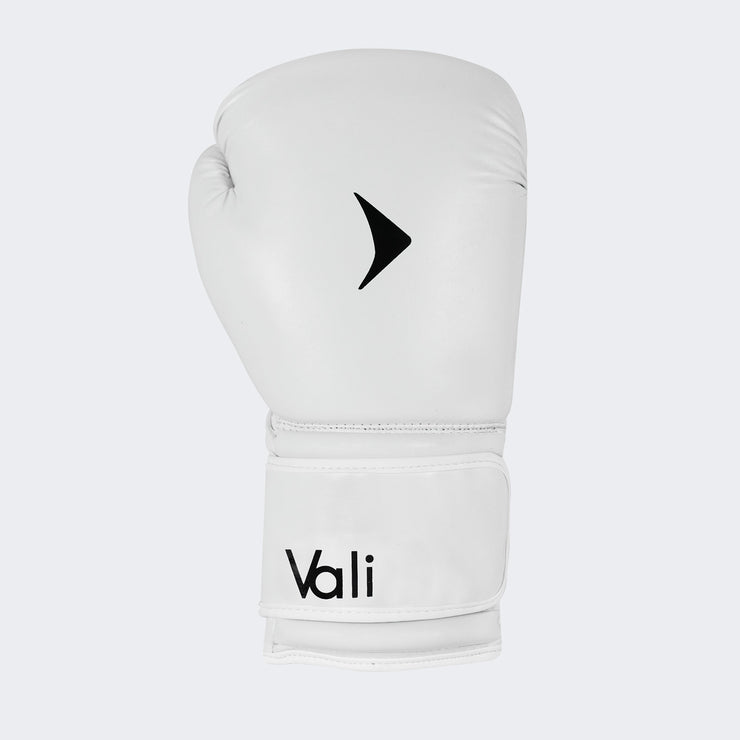 Nista Boxing Gloves for MMA Training Sparring pair mens Front | Vali