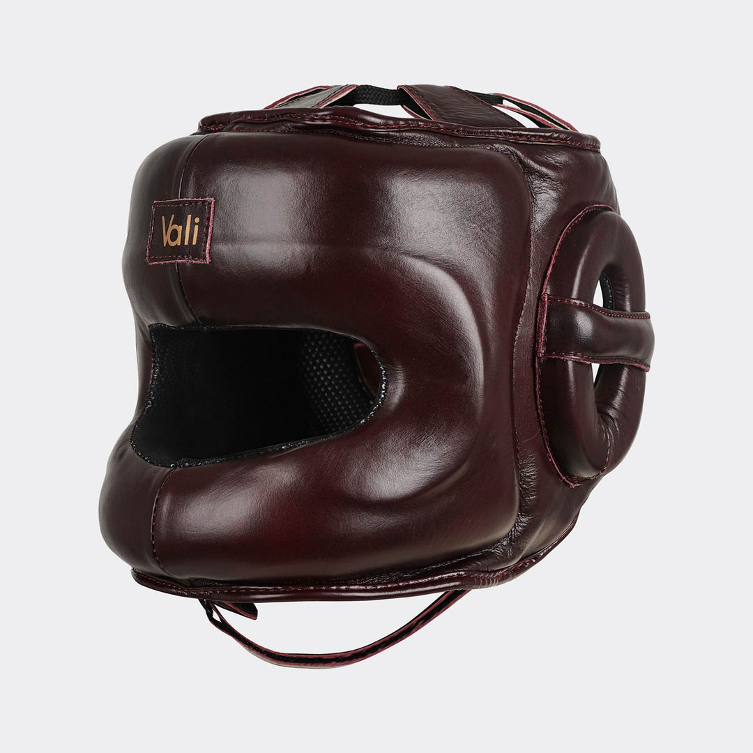 face gear Lancer Face Saver Headgear For Training & Sparring